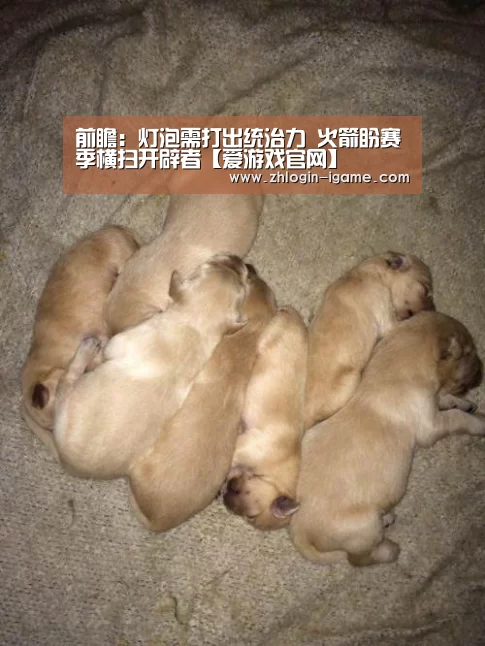 爱游戏体育