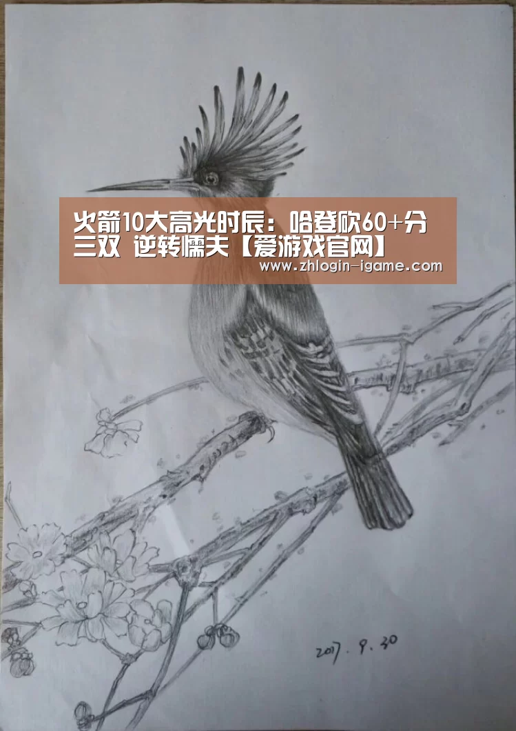 火箭10大高光时辰:哈登砍60+分三双 逆转懦夫【爱游戏官网】(图2) 爱游戏官网