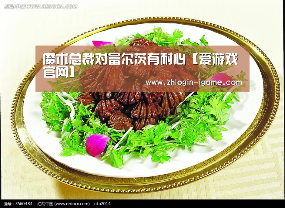 爱游戏体育