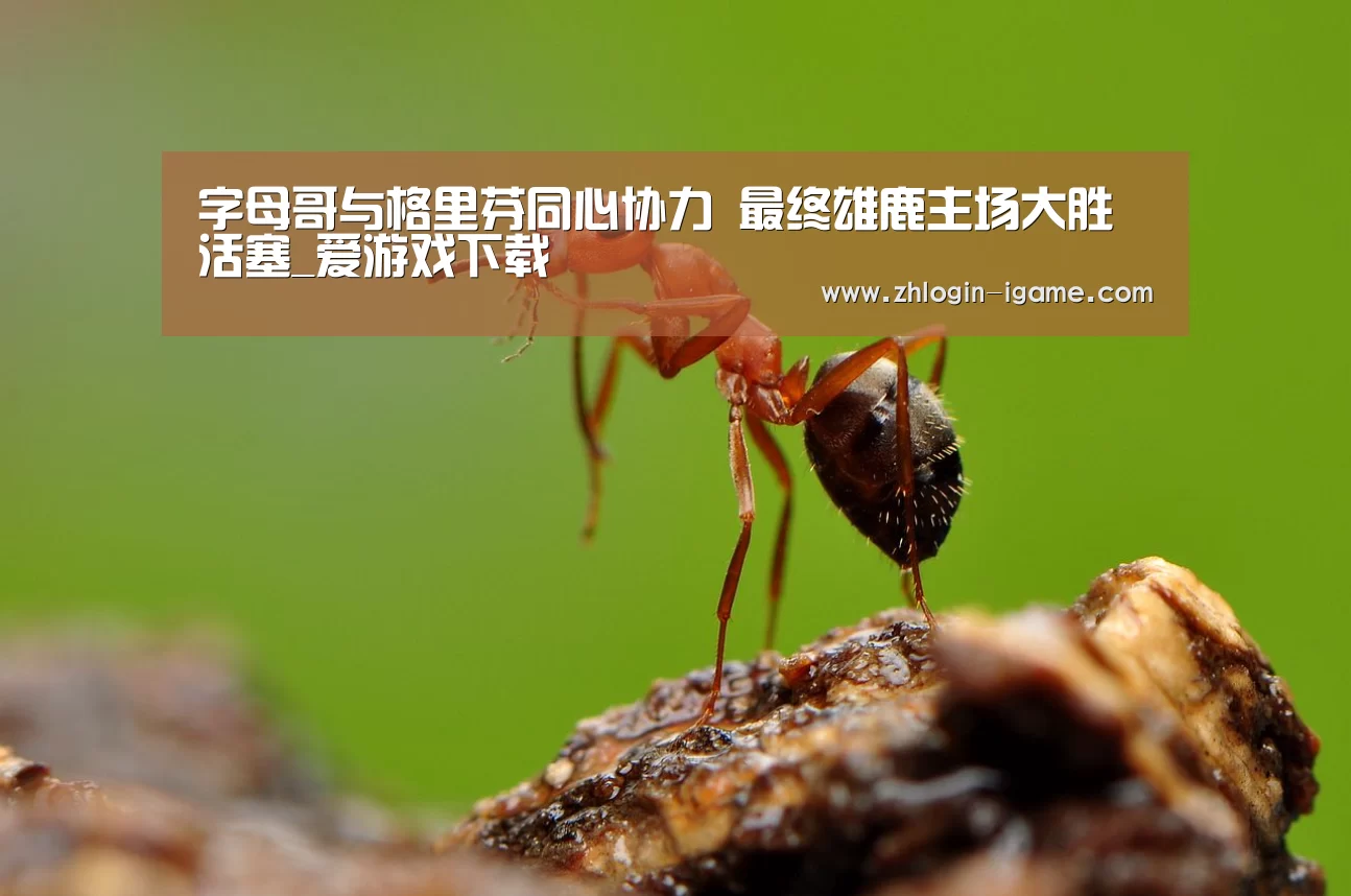 爱游戏体育